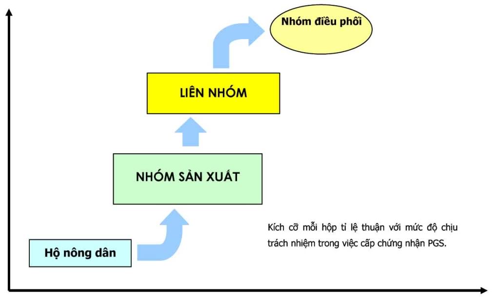 Cơ cấu của PGS