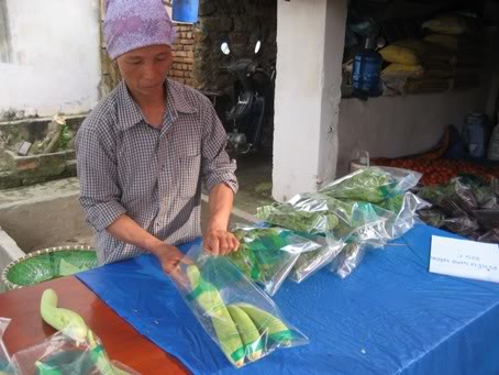 Thu hoạch, sơ chế và truy xuất nguồn gốc