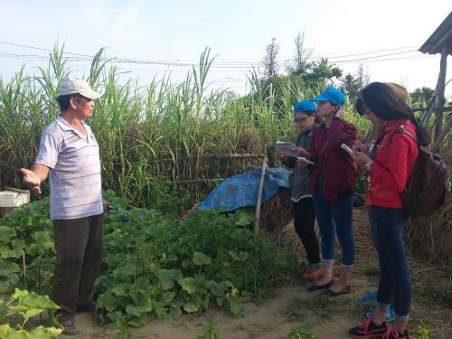 Vườn rau hữu cơ Thanh Đông — nơi khởi nguồn cho nông nghiệp hữu cơ tại miền Trung