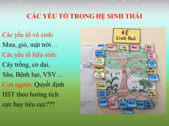 Những kiến thức cơ bản về Nông nghiệp Hữu cơ – NGƯT.TS. Trần Thị Thanh Bình (B1)
