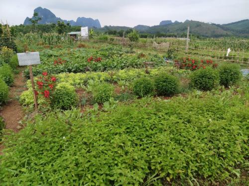 Danh sách các nhóm nông dân & trại tư nhân được cấp chứng nhận tháng 8/2020