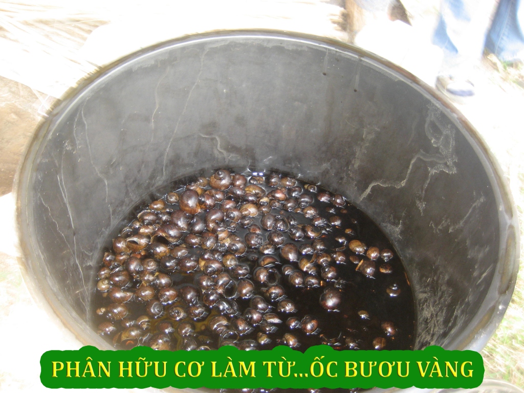 Sản xuất hữu cơ — ảnh 6 — PGS Việt Nam