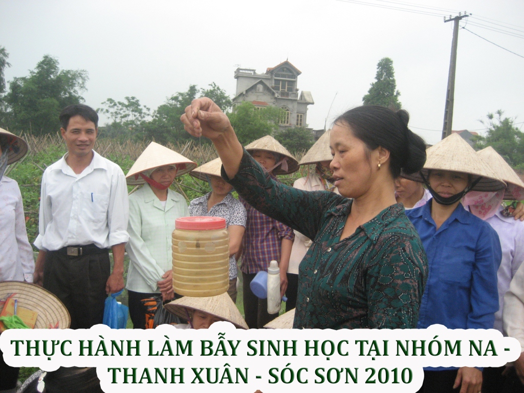 Sản xuất hữu cơ — ảnh 7 — PGS Việt Nam