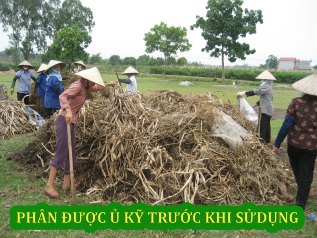 Sản xuất hữu cơ — ảnh 8 — PGS Việt Nam