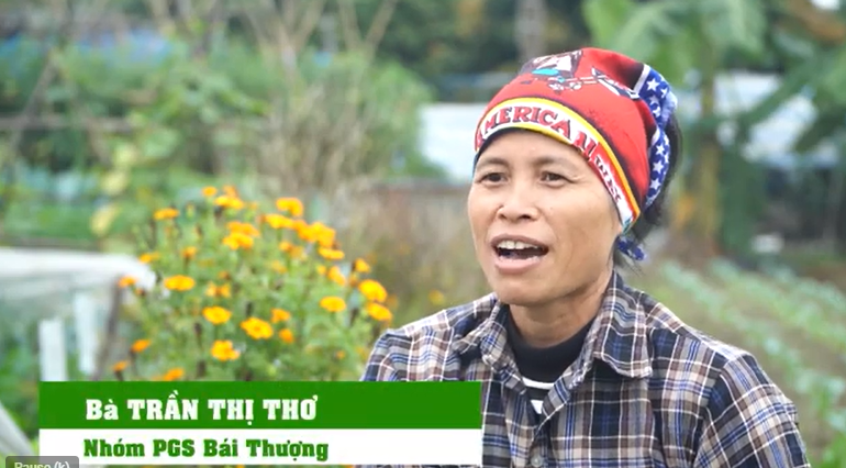 Phóng sự về Rau hữu cơ PGS