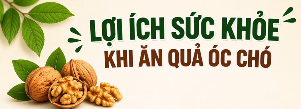 150g quả óc chó mỗi tuần giúp giảm 25% nguy cơ tử vong do bệnh tim mạch