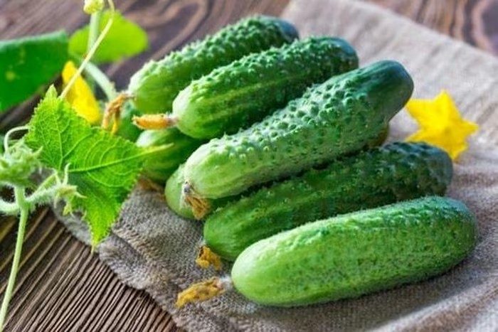 Ăn dưa chuột bị đắng và cách chọn dưa chuột không lo độc tố