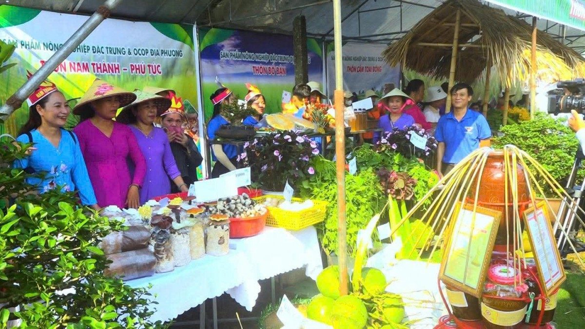 Khung cảnh rực rỡ sắc màu và tràn đầy sức sống tại "thủ phủ" rau sạch của địa phương.