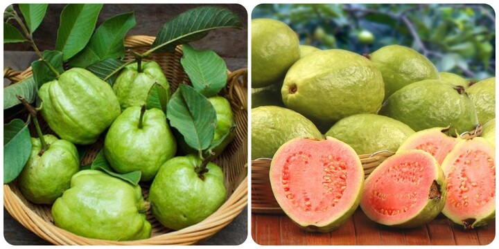 Những người không nên ăn ổi