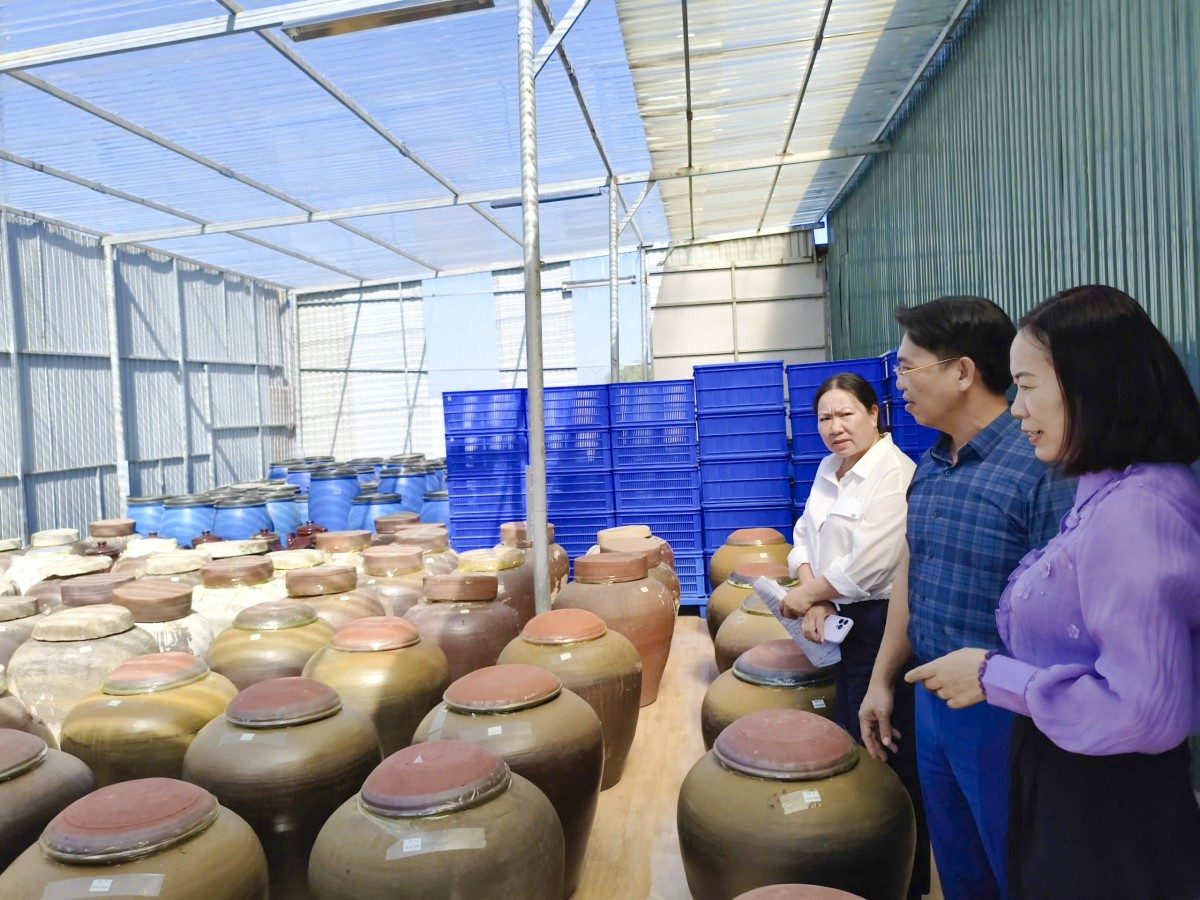 Đoàn công tác Sở Khoa học và Công nghệ Quảng Trị kiểm tra tiến độ “Sản xuất thử nghiệm nước mắm chay từ nấm trên địa bàn tỉnh Quảng Trị”