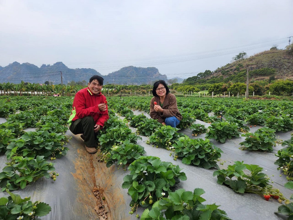 Bà Từ Thị Tuyết Nhung (phải) đã đồng hành cùng bà con nhiều năm qua để PGS Việt Nam ngày một phát triển và đóng góp cho xã hội, bên trái là ông Dương Xuân Khôi, Giám sát viên của Ban điều phối PGS Việt Nam